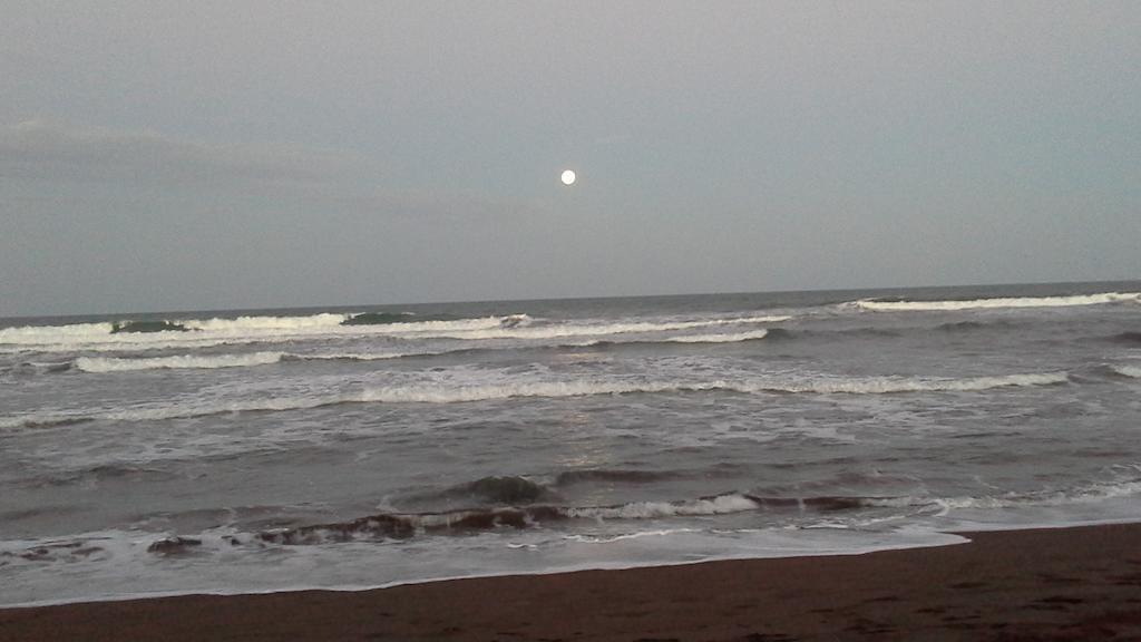 Cabinas Miss Miriam 1 Tortuguero Ngoại thất bức ảnh