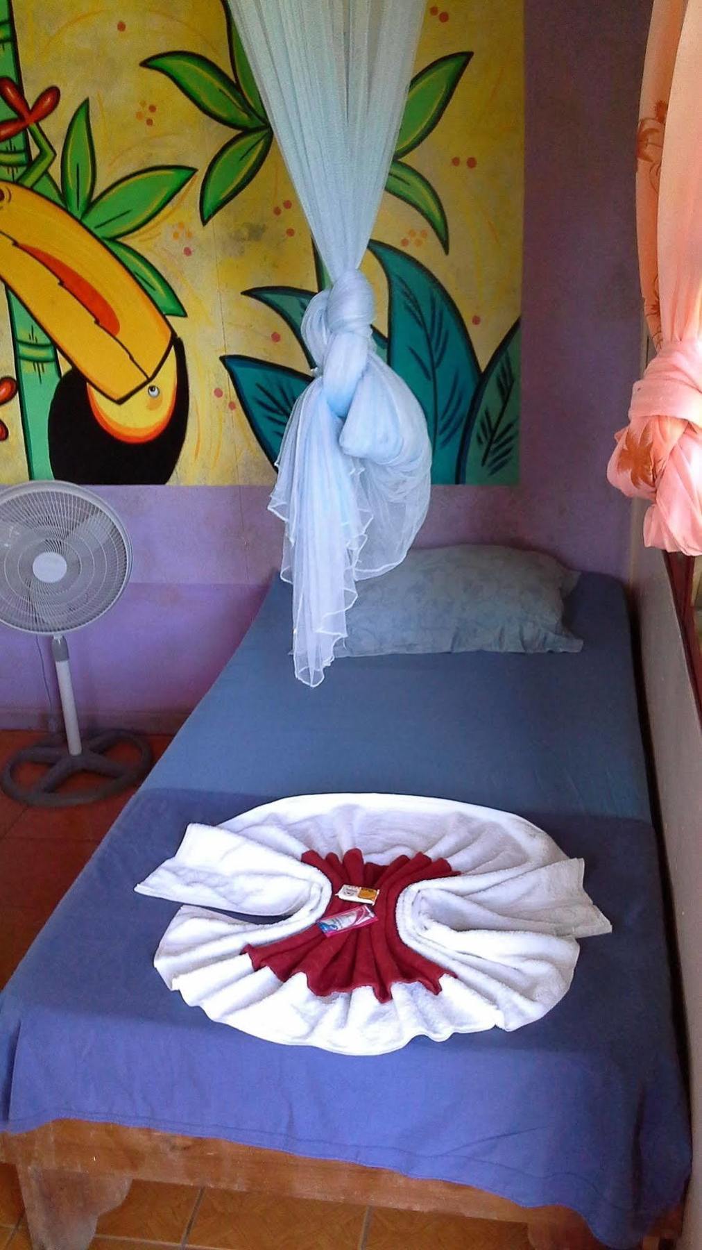 Cabinas Miss Miriam 1 Tortuguero Ngoại thất bức ảnh