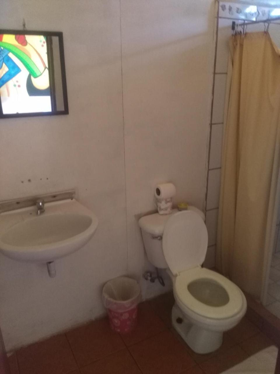 Cabinas Miss Miriam 1 Tortuguero Ngoại thất bức ảnh